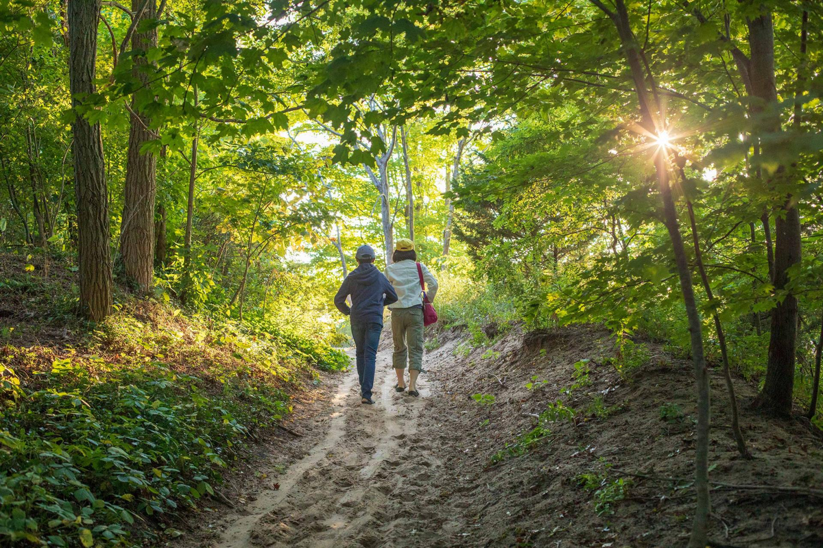 Hiking trail through the woods